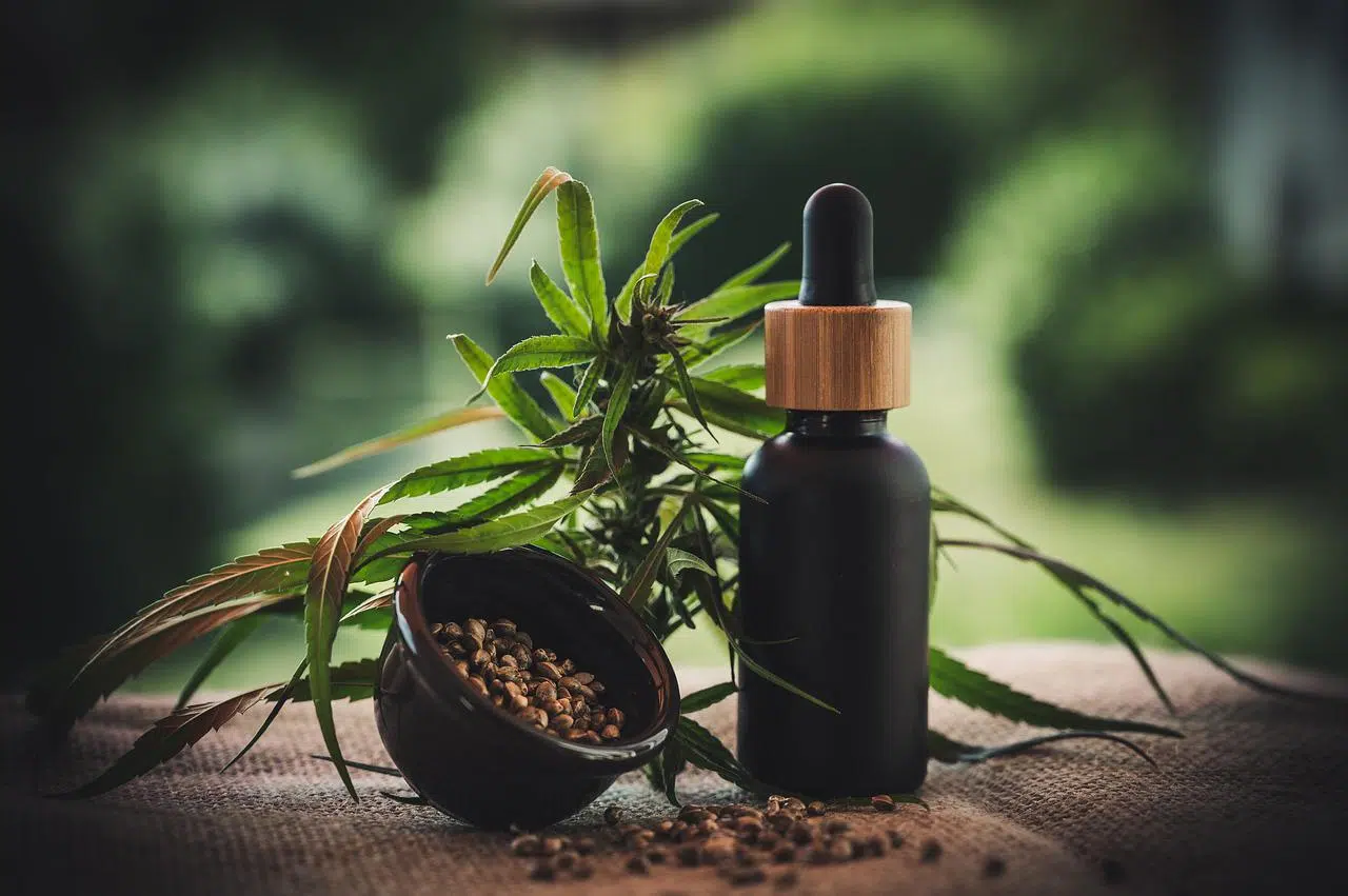 Le CBD agit sur la conduite et les capacités cognitives : Vrai ou faux ?